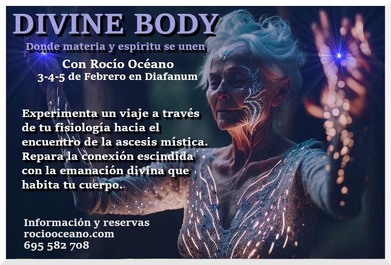 Divine Body cartel3